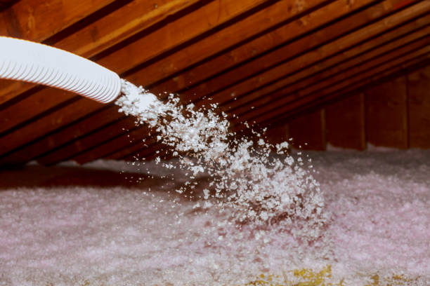 Best Insulation Installation Services in San Marino, CA